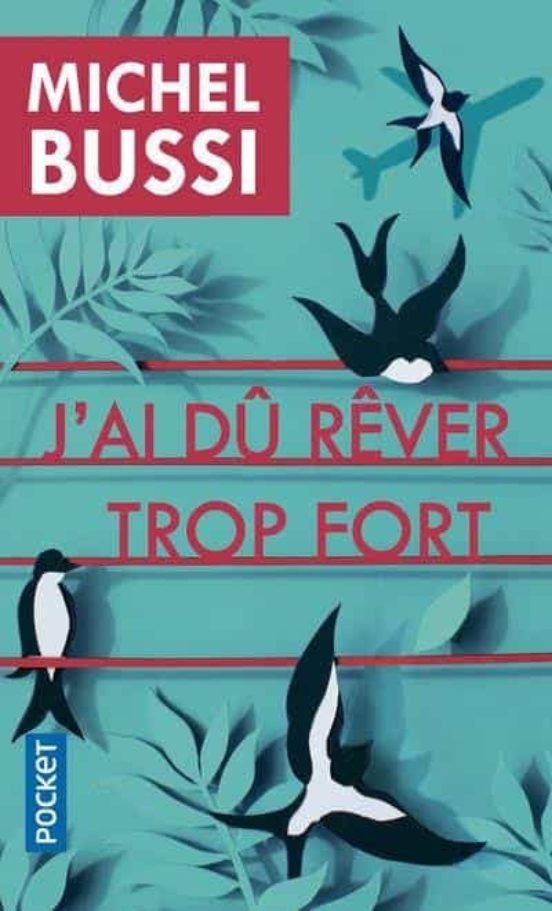 J Ai Dû Rêver Trop Fort