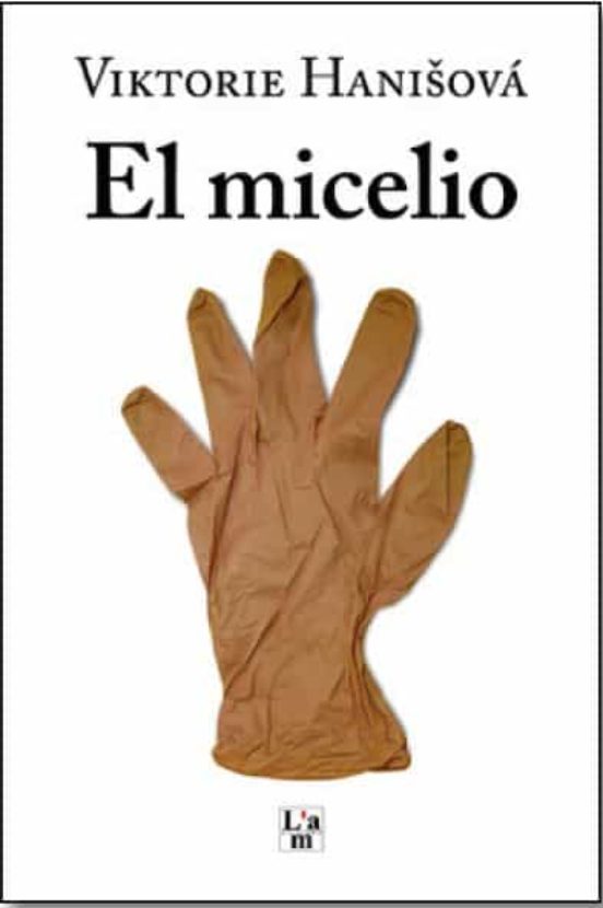 El Micelio