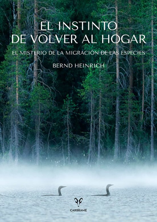 El Instinto De Volver Al Hogar