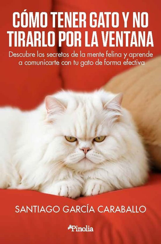 Cómo Tener Gato Y No Tirarlo Por La Ventana