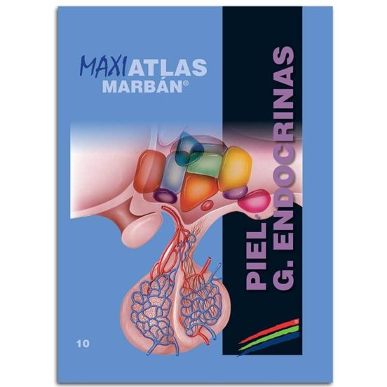 Piel - G. Endocrinas