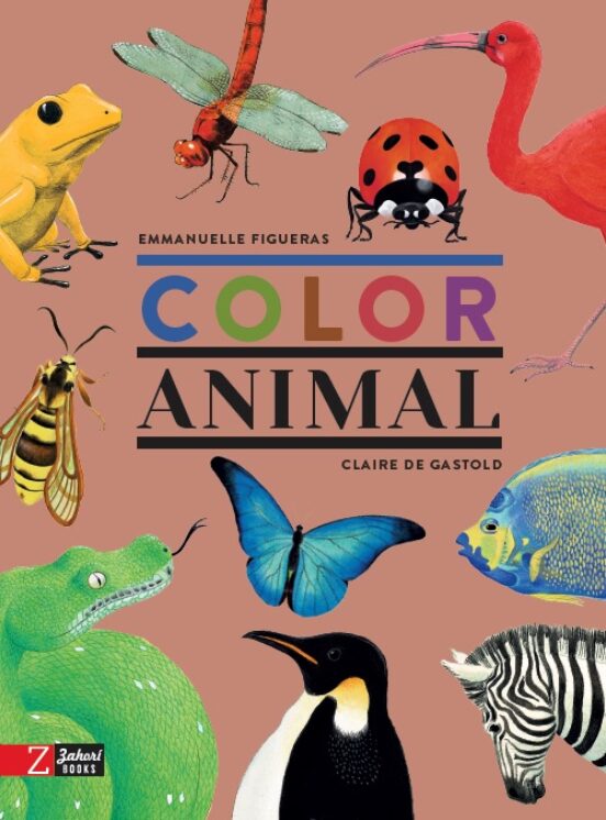 Color Animal - Català