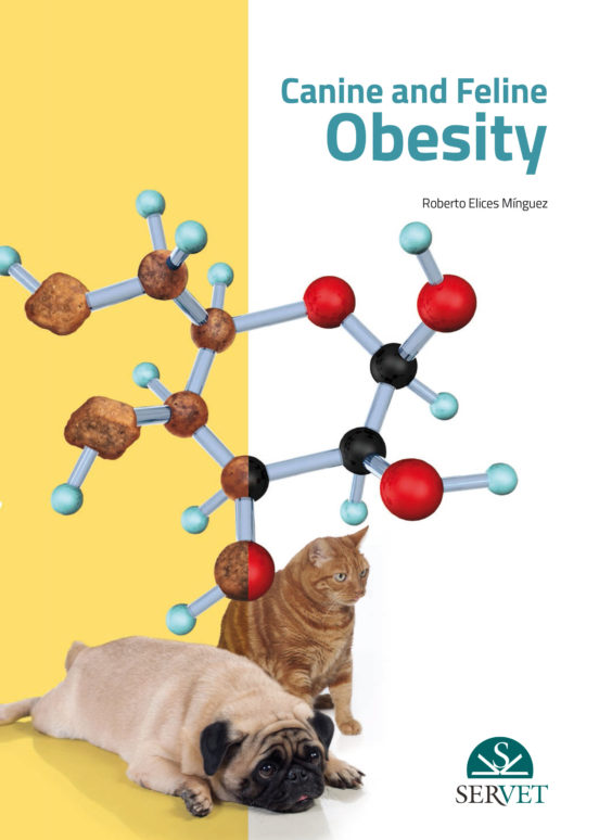 Canine And Feline Obesity