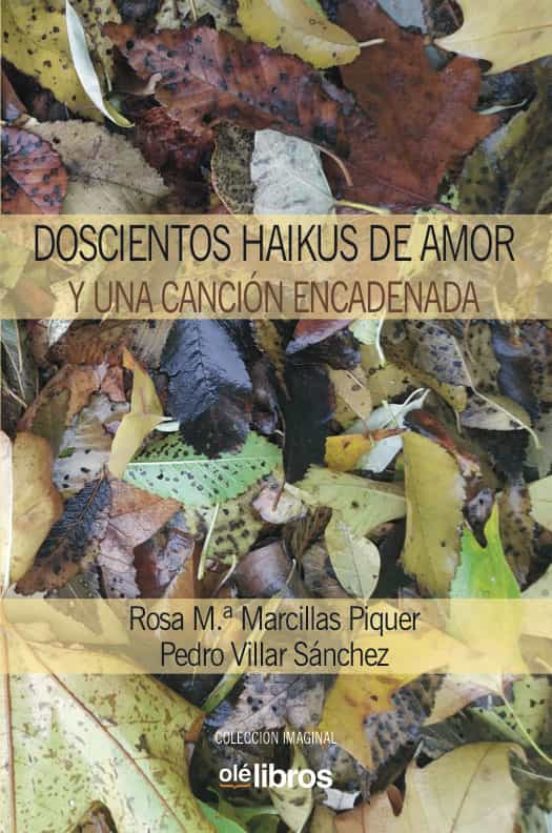 Doscientos Haikus De Amor Y Una Canción Encadenada
