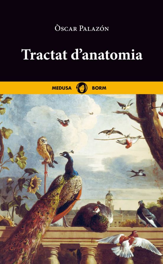 Tractat D'anatomia