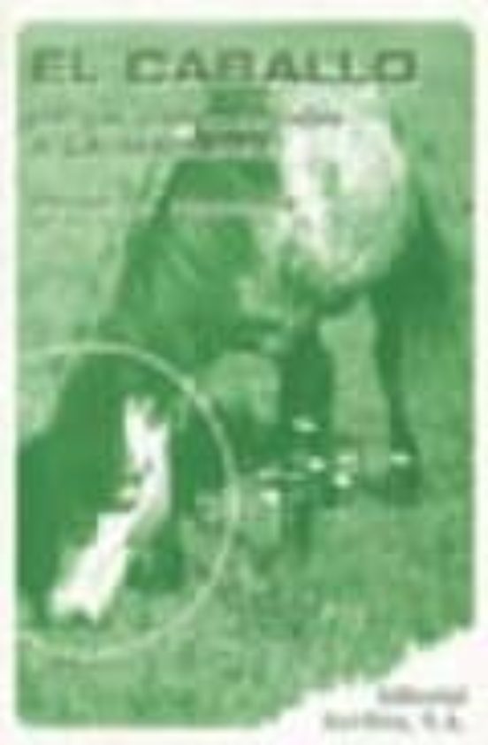 El Caballo Desde La Concepción A La Madurez