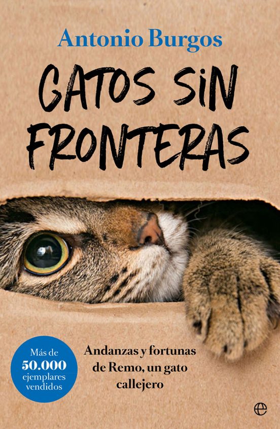 Gatos sin Fronteras: Andanzas y Fortunas de Remo un Gato Calleje Ro