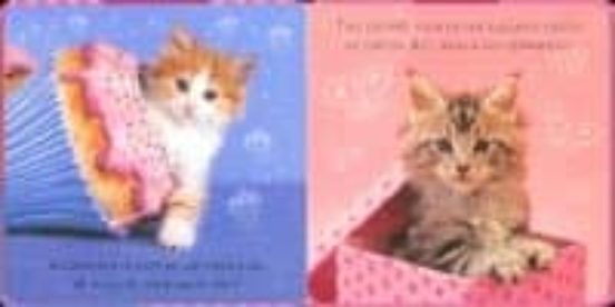 Gatitos
