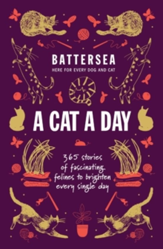 Battersea Dogs And Cats Home - A Cat A Day