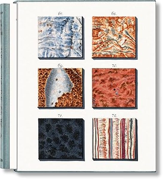 Jan Christiaan Sepp. The Book Of Marble