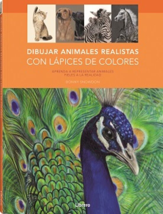 Dibujo; Realista; Color; Lápices; Animales