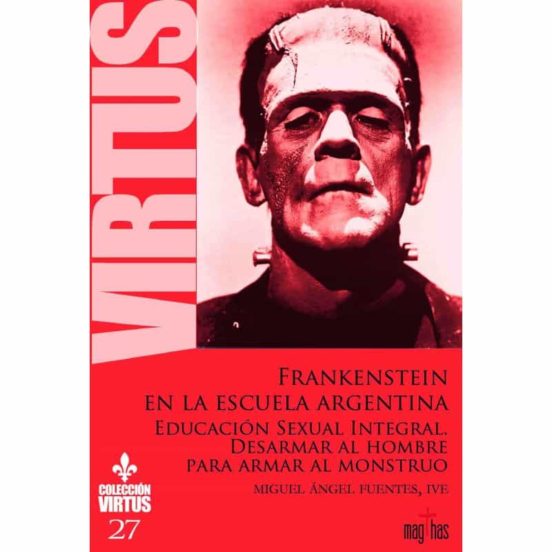 Frankenstein En La Escuela Argentina