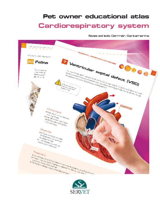 Pet Owner Educational Atlas. Cardiorespiratory System