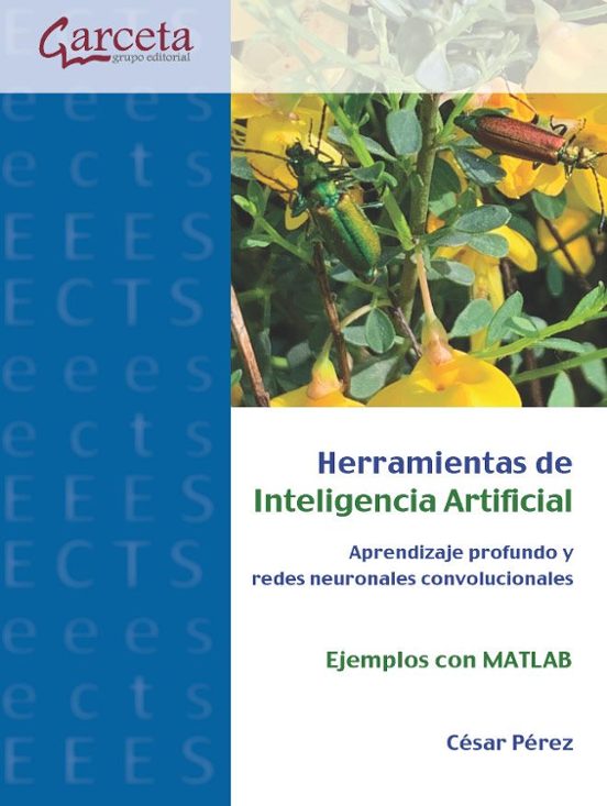 Herramientas De Inteligencia Artificial. Aprendizaje Profundo Y Redes