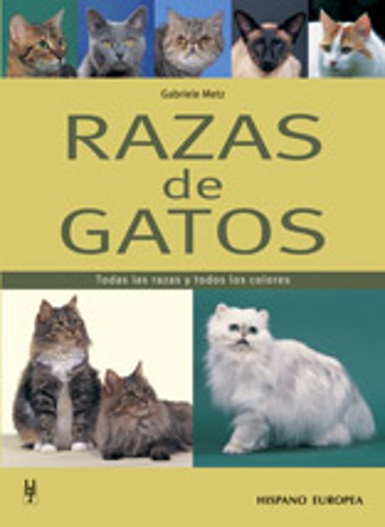 Razas De Gatos: Todas Las Razas Y Todos Los Colores
