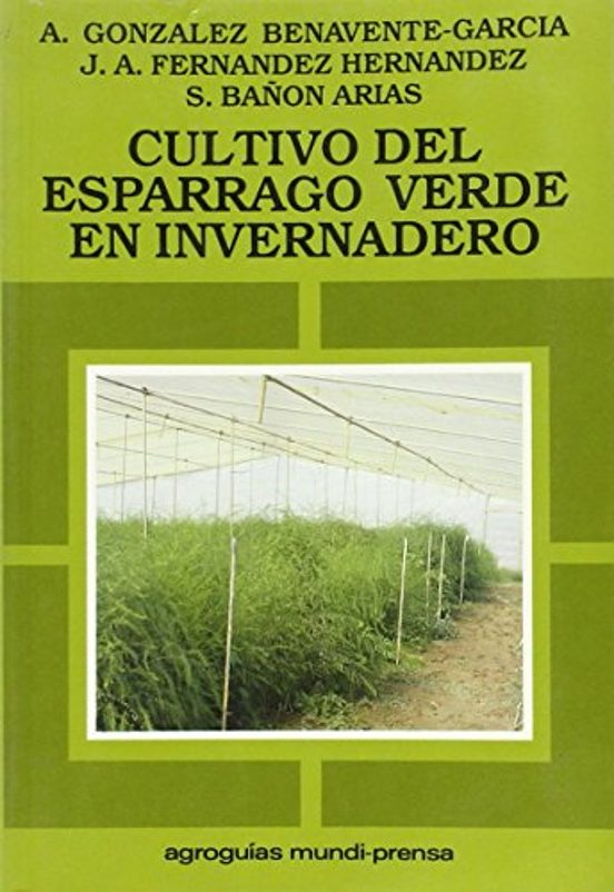 Cultivo Del Esparrago Verde En Invernadero
