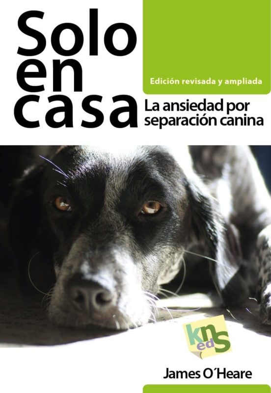 Solo En Casa: La Ansiedad Por Separacion Canina