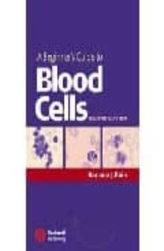 A Beginner S Guide To Blood Cells