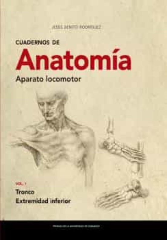 Cuadernos De Anatomía. Aparato Locomotor