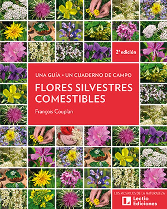 Flores silvestres comestibles