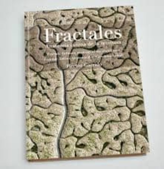 Fractales: Anatomia Intima De La Marisma