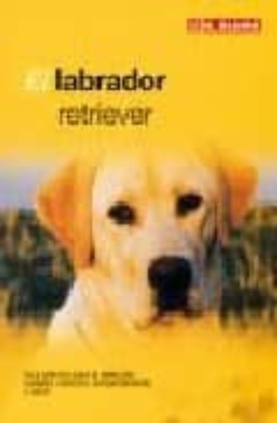 El Labrador Retriever