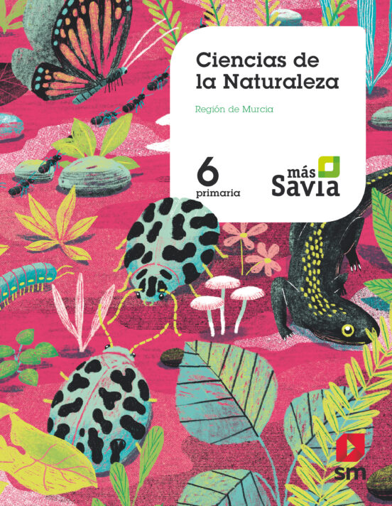 Naturales 6º Educacion Primaria Mas Savia Ed 2019 Murcia