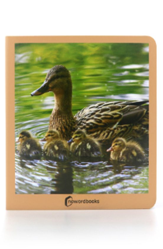 Animales En Familia