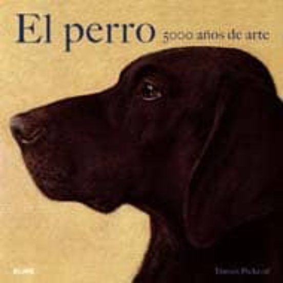 El Perro: 500 Años De Arte