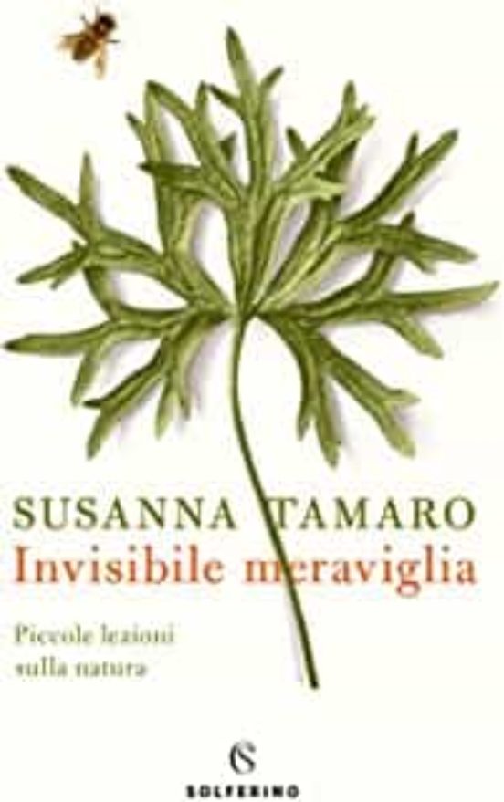 Invisibile Meraviglia. Piccole Lezioni Sulla Natura