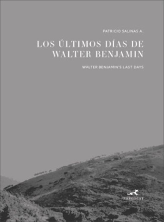 Los Ultimos Dias De Walter Benjamin