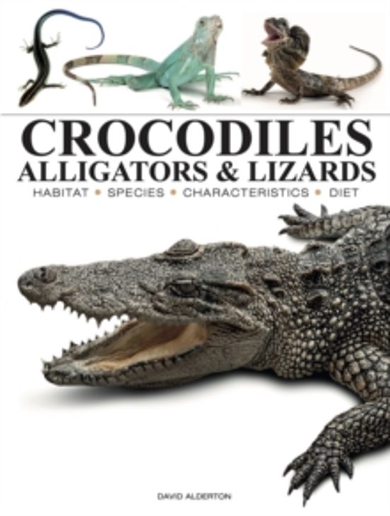 Crocodiles Alligators & Lizards
