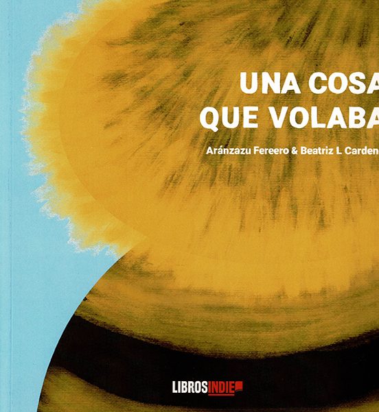 Una Cosa Que Volaba