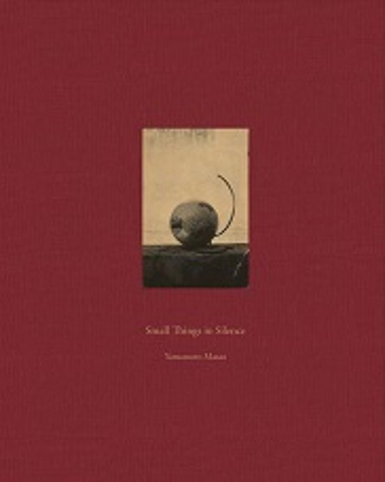Small Things In Silence Third Edition