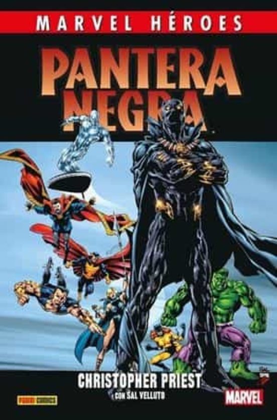 Pantera Negra De Christopher Priest 2