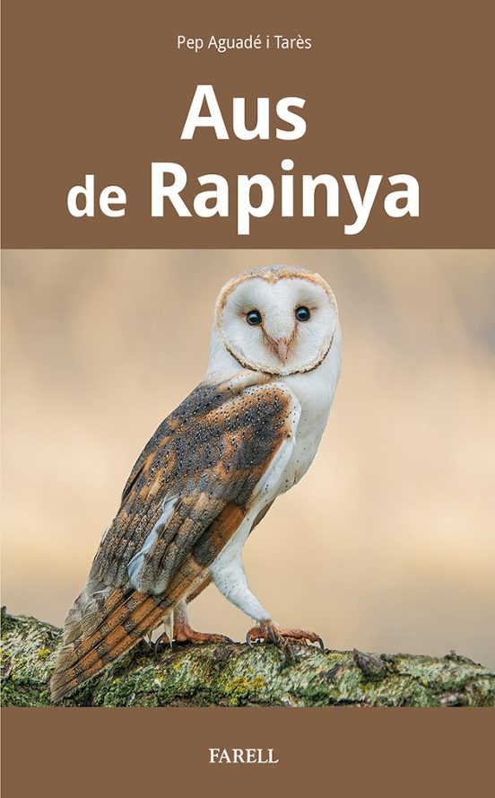 Aus De Rapinya