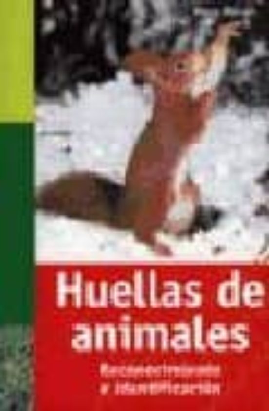 Huellas De Animales: Reconocimiento E Identificacion