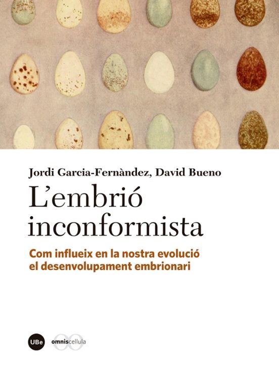 Embrió Inconformista