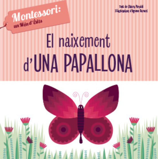 El Naixement D’una Papallona
