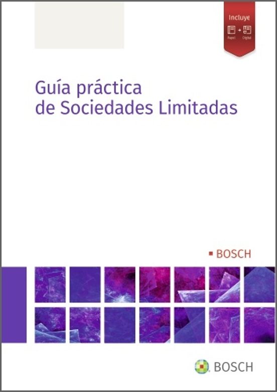 Guía Práctica De Sociedades Limitadas