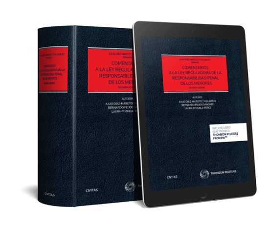 Comentarios A La Ley Reguladora De La Responsabilidad Penal De Los Menores