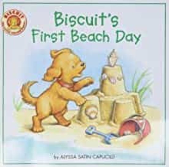 Biscuit S First Beach Day