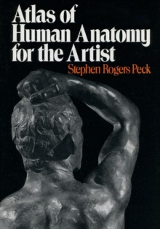 Atlas Of Human Anatomy For The Artist