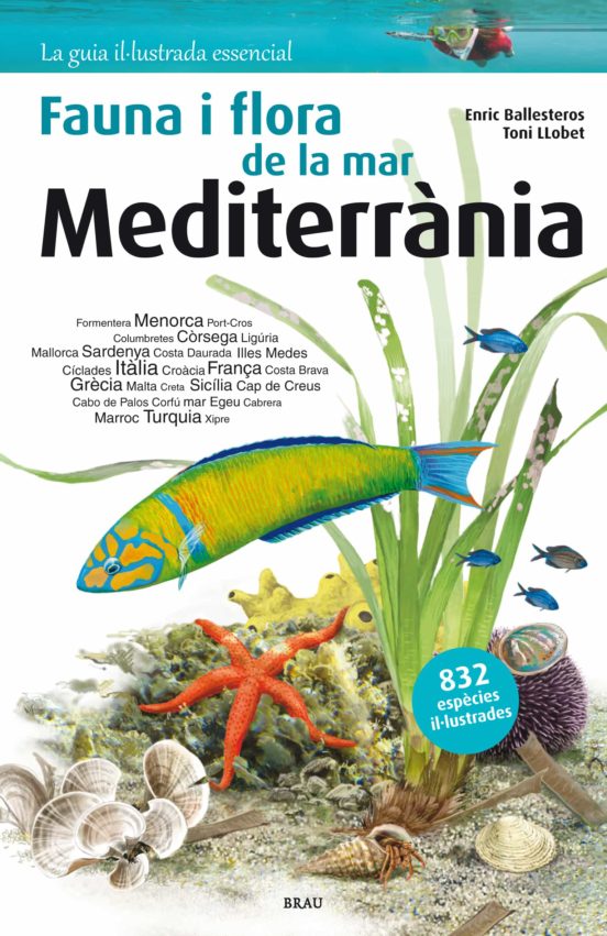 Flora I Fauna De La Mar Mediterrania