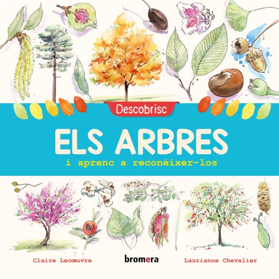 Descobrisc Els Arbres I Aprenc A Reconéixer-los