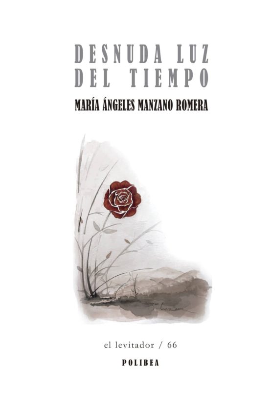 Desnuda Luz Del Tiempo