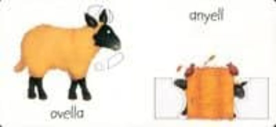 Animals De La Masia