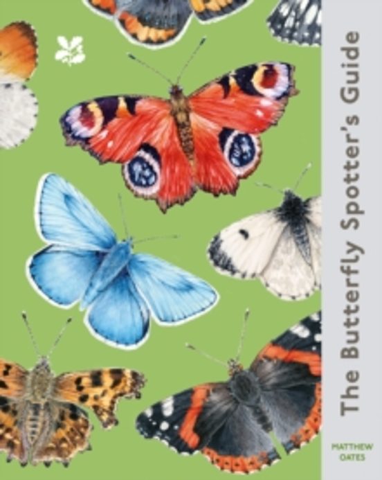 The Butterfly Spotter S Guide