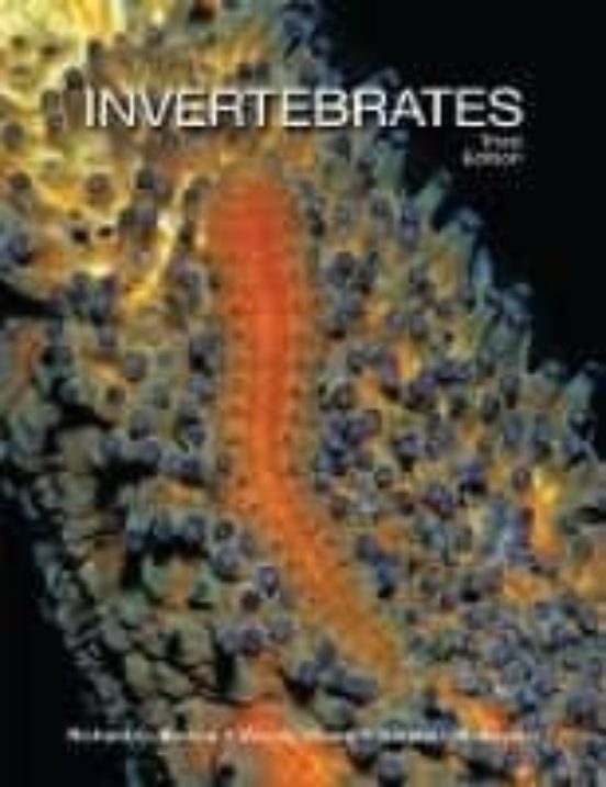 Invertebrates