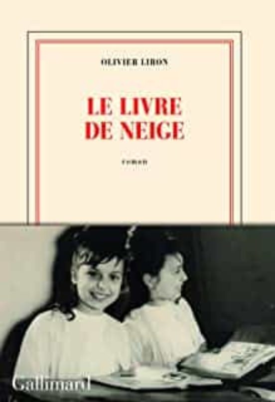 Le Livre De Neige